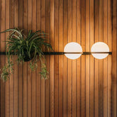 Modern Black Wall Light with Green Plants